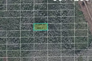 Dill Rd, Orlando, FL 32820 - Photo 1