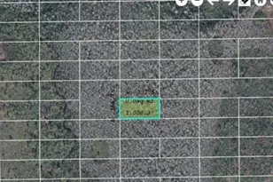 Dill Rd, Orlando, FL 32820 - Photo 1