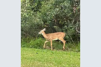 3650 Lake Tohopekaliga Road, Saint Cloud, FL 34772 - Photo 16