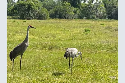 3650 Lake Tohopekaliga Road, Saint Cloud, FL 34772 - Photo 42