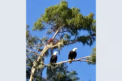 348 Georgetown Drive #348, Casselberry, FL 32707 - Photo 60