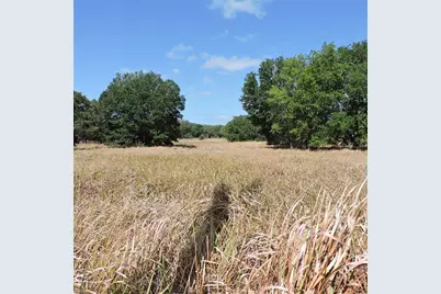 Maricamp Road, Ocklawaha, FL 32179 - Photo 8