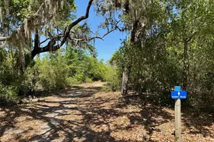 3182 Sailing Pier Ave, Winter Garden, FL 34787 - Photo 70