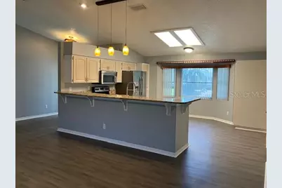 6419 Borg Street, Leesburg, FL 34748 - Photo 4