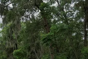 Kentucky Ave, Deltona, FL 32738 - Photo 1