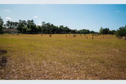 23423 Oak Lane, Sorrento, FL 32776 - Photo 4