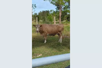 740 S Palomino Street, Clewiston, FL 33440 - Photo 42