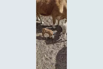 740 S Palomino Street, Clewiston, FL 33440 - Photo 40