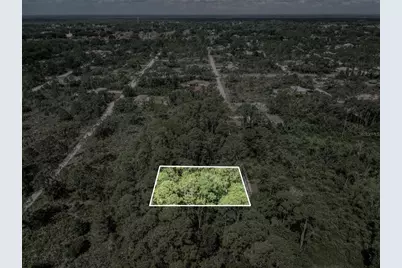 242 Condor Avenue, Sebring, FL 33870 - Photo 4