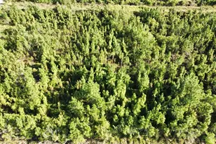 22 Laguna Dr, Indian Lake Estates, FL 33855 - Photo 1