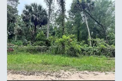 25040 E Avenue B, Paisley, FL 32767 - Photo 2