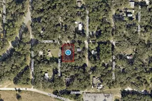 25040 E Ave B, Paisley, FL 32767 - Photo 1