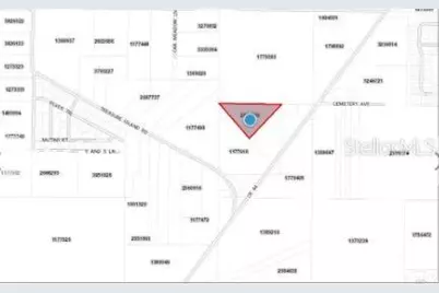 County Road 44, Leesburg, FL 34788 - Photo 6