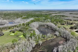 3939 Lake Erie Rd, Groveland, FL 34736 - Photo 36