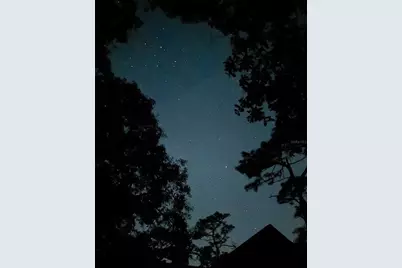 3939 Lake Erie Road, Groveland, FL 34736 - Photo 8