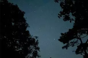 3939 Lake Erie Rd, Groveland, FL 34736 - Photo 8