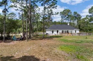 42368 W Cashew Ct, Eustis, FL 32736 - Photo 46