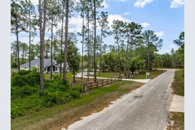 42368 W Cashew Court, Eustis, FL 32736 - Photo 40