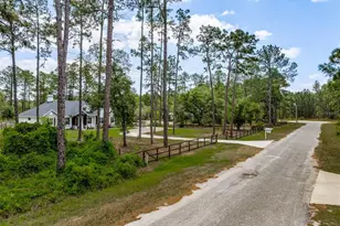 42368 W Cashew Ct, Eustis, FL 32736 - Photo 40