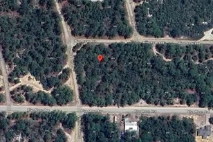 401 Wind Rose Ave, Lake Placid, FL 33852 - Photo 1