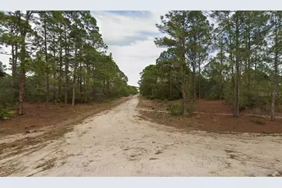 401 Wind Rose Avenue, Lake Placid, FL 33852 - Photo 6