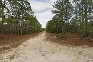 401 Wind Rose Ave, Lake Placid, FL 33852 - Photo 6