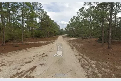 401 Wind Rose Avenue, Lake Placid, FL 33852 - Photo 4