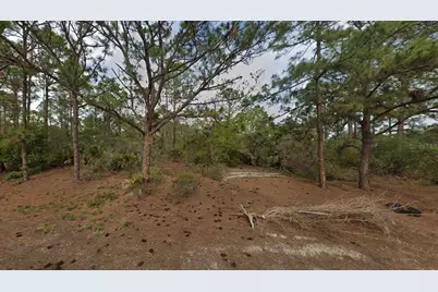 401 Wind Rose Avenue, Lake Placid, FL 33852 - Photo 8