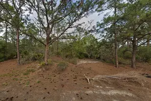 401 Wind Rose Ave, Lake Placid, FL 33852 - Photo 8