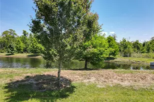 12822 Moss Park Ridge Dr, Orlando, FL 32832 - Photo 68