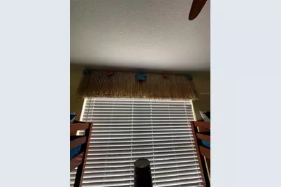 2348 Silver Palm, Kissimmee, FL 34747 - Photo 62