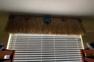 2348 Silver Palm, Kissimmee, FL 34747 - Photo 62