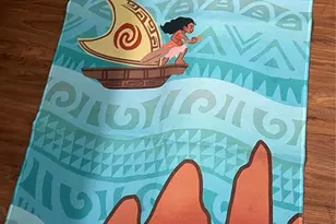 2348 Silver Palm, Kissimmee, FL 34747 - Photo 60