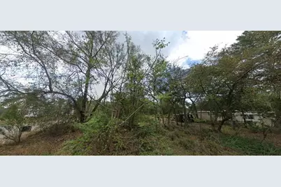 Morning View Drive, Paisley, FL 32767 - Photo 2