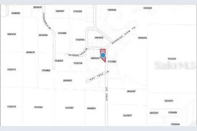 Morning View Drive, Paisley, FL 32767 - Photo 6