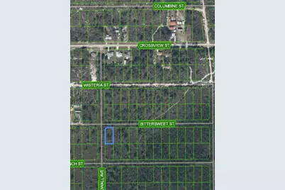 629 Gadwall Avenue, Lake Placid, FL 33852 - Photo 4