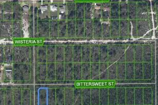 629 Gadwall Ave, Lake Placid, FL 33852 - Photo 4