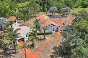 13124 Filly Ct, Windermere, FL 34786 - Photo 1