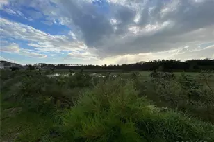 864 Scrub Oak Hammock Rd, Davenport, FL 33837 - Photo 4