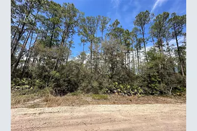 206 Hudson Street, Interlachen, FL 32148 - Photo 1