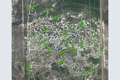 463 Humoresque Lane, Lake Placid, FL 33852 - Photo 2