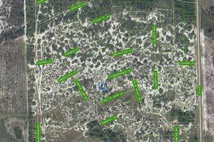 463 Humoresque Ln, Lake Placid, FL 33852 - Photo 2