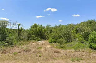 228 Hallmark Ave, Lake Placid, FL 33852 - Photo 1