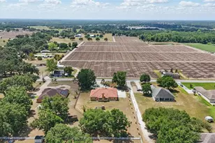 2202 Sparkman Rd, Plant City, FL 33566 - Photo 50