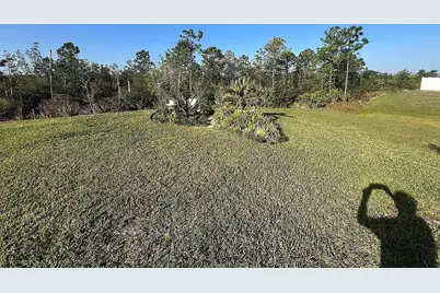 2711 Neverland Drive, New Smyrna Beach, FL 32168 - Photo 36