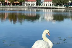 280 Celebration Blvd, Kissimmee, FL 34747 - Photo 26