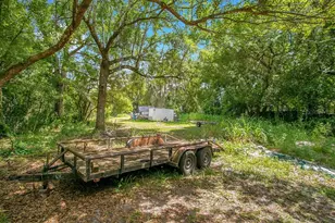 8816 Trevarthon Rd, Orlando, FL 32817 - Photo 4