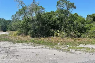 Tbd Fisher Way, Ocklawaha, FL 32179 - Photo 1