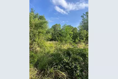 Harvest Lane, Kissimmee, FL 34744 - Photo 6