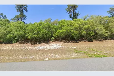 Tbd Marion Oak Boulevard, Ocala, FL 34473 - Photo 6